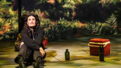 Idina Menzel in REDWOOD 0267 - Photo Credit Matthew Murphy and Evan Zimmerman for Murphy Made