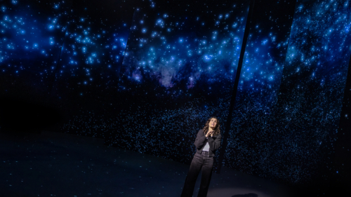 Idina Menzel in REDWOOD 1369 - Photo Credit Matthew Murphy and Evan Zimmerman
