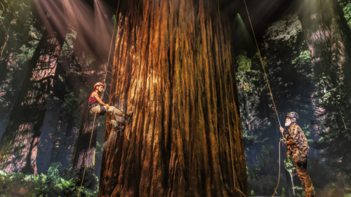 Khaila Wilcoxon and Michael Park in REDWOOD 0320 - Photo Credit Matthew Murphy and Evan Zimmerman for Murphy Made