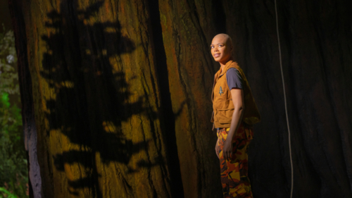Khaila Wilcoxon in REDWOOD 1199 - Photo Credit Matthew Murphy and Evan Zimmerman